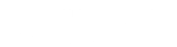 Full Score Data Solutions